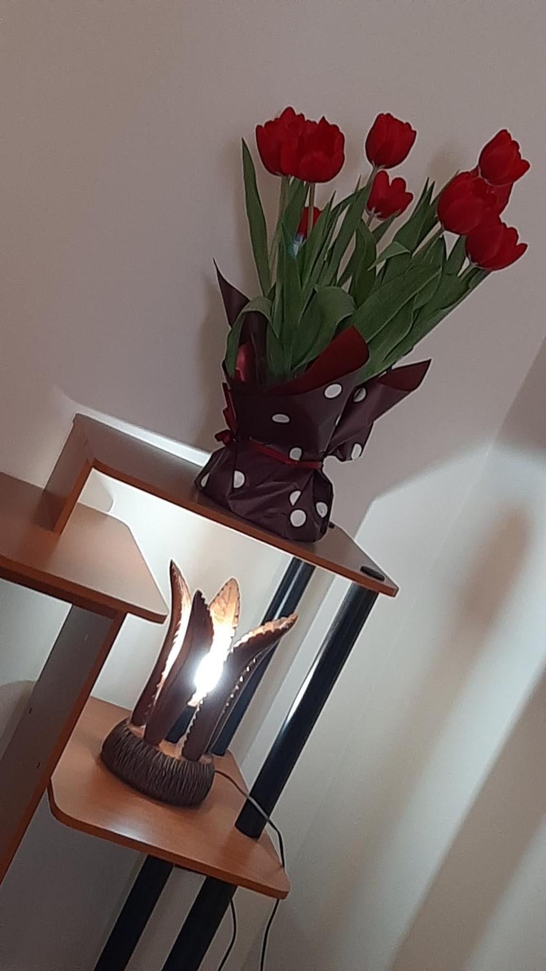 Desiderio - House Appartamento